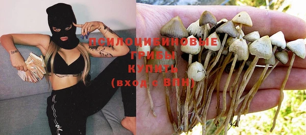 PSILOCYBIN Арсеньев