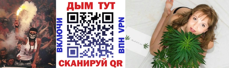 Бошки Шишки THC 21%  kraken ТОР  Гаджиево  где купить наркоту 